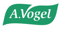 Logo_A.Vogel_Web-01